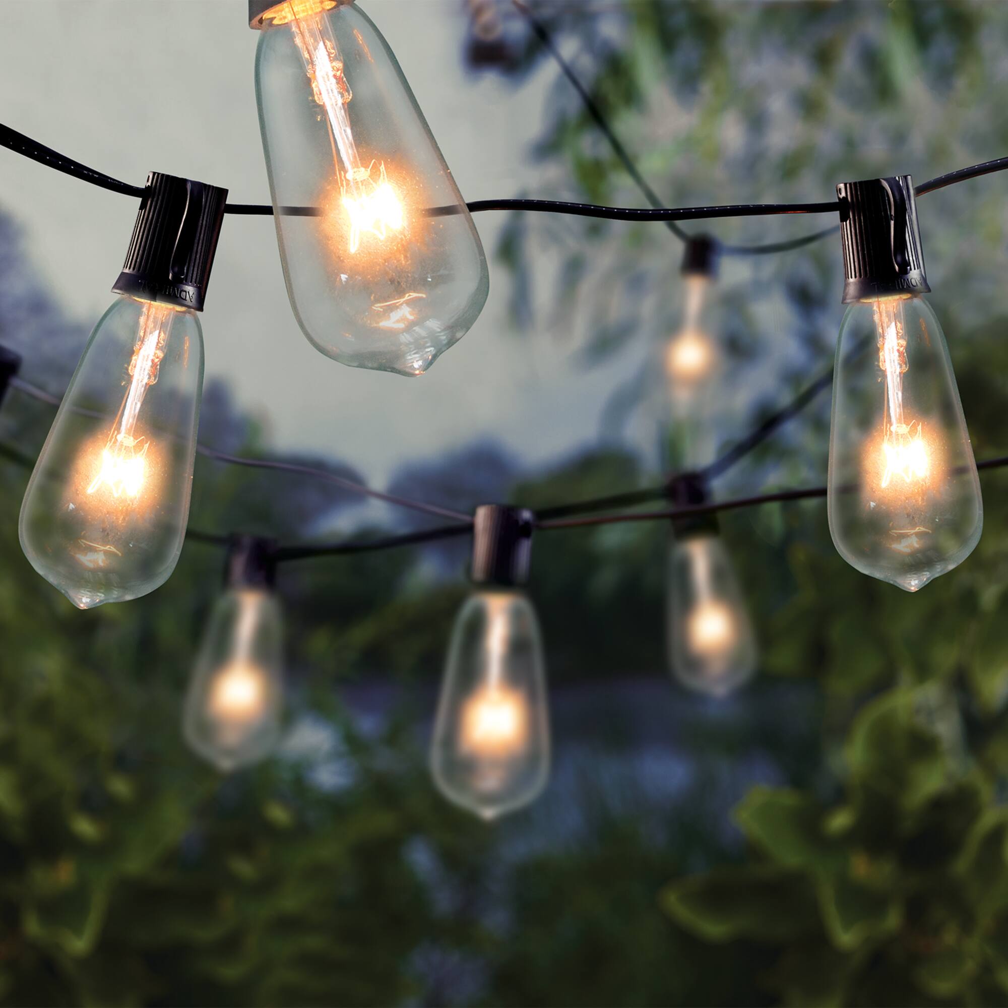 10ct. Edison ST12 Bulb String Lights by Ashland®